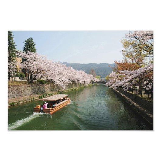 日本、京都。舟上での花見 フォトプリント            (正面)