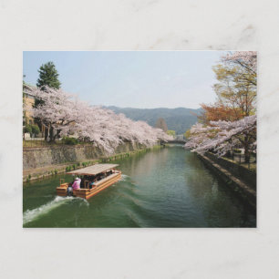 日本、京都。舟上での花見 ポストカード