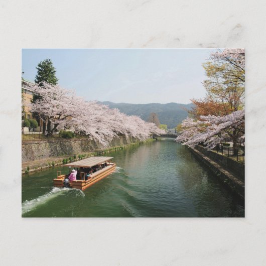 日本、京都。舟上での花見 ポストカード (正面)