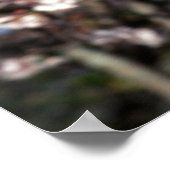 日本、京都。芸者の背面クローズアップ ポスター (角)