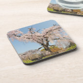 日本、京都。青空のさくらんぼの木の涙 コースター (左側)