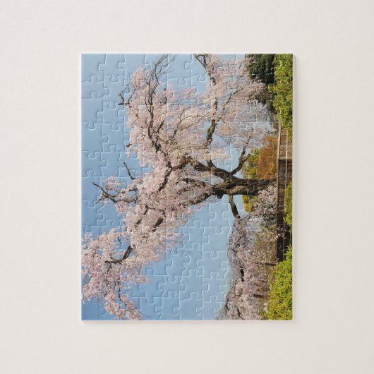 日本、京都。青空のさくらんぼの木の涙 ジグソーパズル (縦)