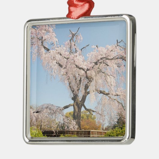 日本、京都。青空のさくらんぼの木の涙 メタルオーナメント (左)