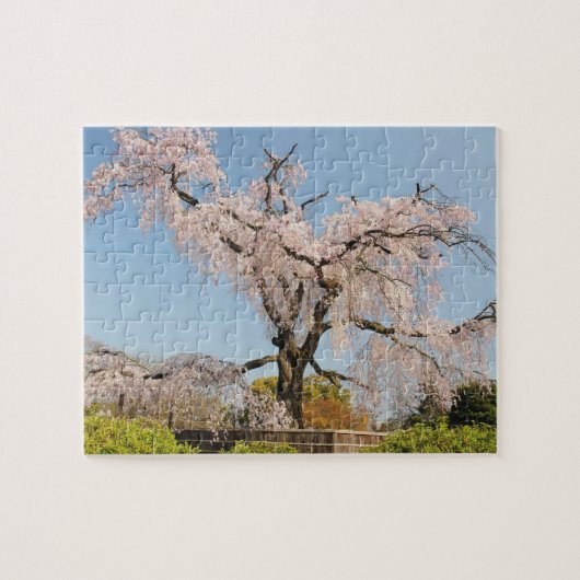 日本、京都。青空の下でのしだれ桜 ジグソーパズル (横)
