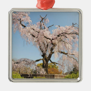 日本、京都。青空の下でのしだれ桜 メタルオーナメント
