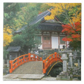日本、奈良、龍禅寺 タイル (正面)