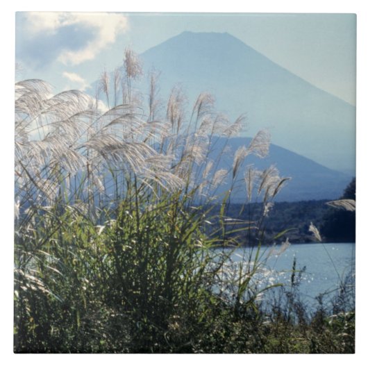 日本, 本州, 山梨県, 富士箱根伊豆 タイル (正面)