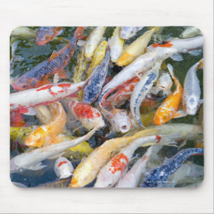 日本、東京のクローズアップの水泳の魚 マウスパッド