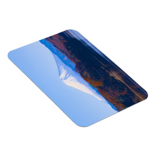 日本，東京の富士山 マグネット (右側)