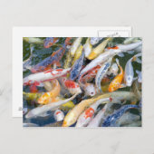 日本、東京、魚の泳ぎ方 ポストカード (正面/裏面)