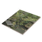 日本、石川、金沢、野村武家 タイル (側面)