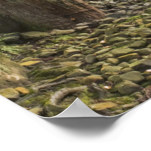 日本・福井・永平寺 ポスター (角)