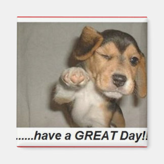 日楽しむ磁石 マグネット