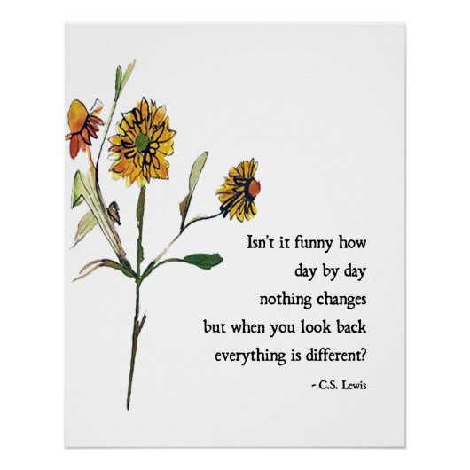 日毎CSルイス ポスター (正面)