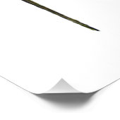 日毎CSルイス ポスター (コーナー)