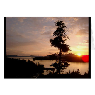 日没およびヒマラヤスギ木