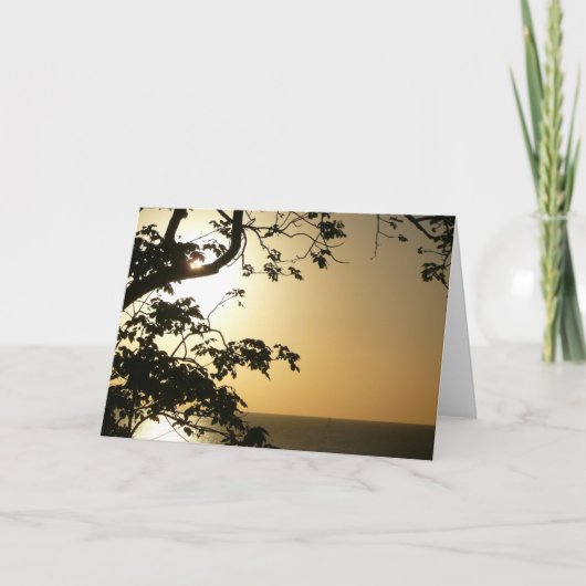 日没から木へII熱帯写真 カード (正面)