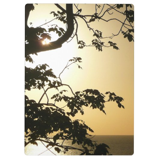 日没から木へII熱帯写真 クリップボード (裏面)