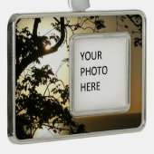 日没から木へII熱帯写真 シルバープレートフレームオーナメント (右)