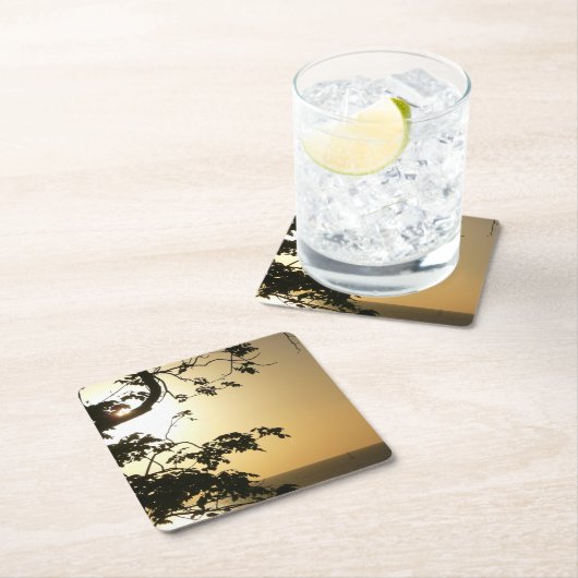 日没から木へII熱帯写真 スクエアペーパーコースター (インサイチュ)