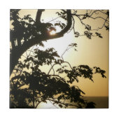 日没から木へII熱帯写真 タイル (正面)