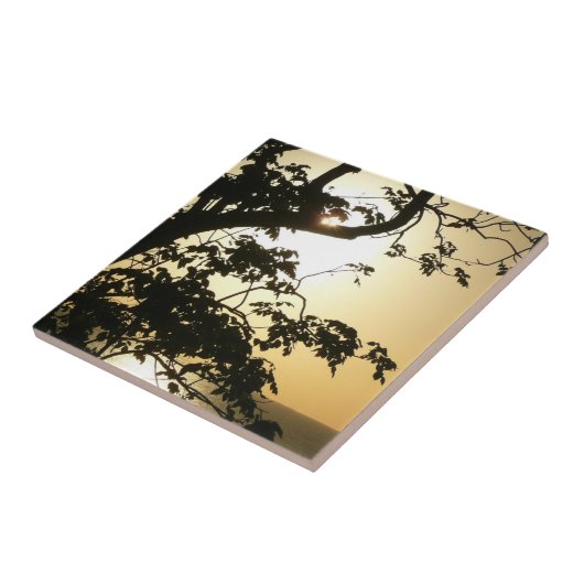 日没から木へII熱帯写真 タイル (側面)