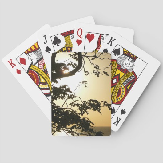 日没から木へII熱帯写真 トランプ (裏面)