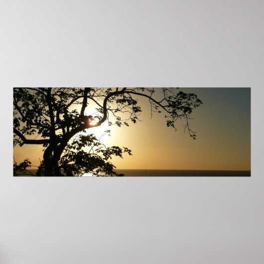 日没から木へII熱帯写真 ポスター (正面)