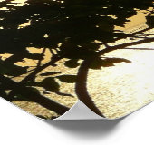 日没から木へII熱帯写真 ポスター (角)