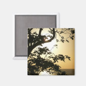 日没から木へII熱帯写真 マグネット (正面/裏面)