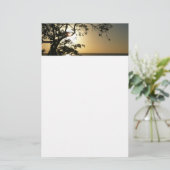 日没から木へII熱帯写真 便箋 (スタンド正面)