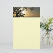 日没から木へII熱帯写真 便箋 (スタンド正面)