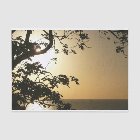 日没から木へII熱帯写真 薄葉紙 (正面)