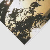 日没から木へII熱帯写真 薄葉紙 (詳細)