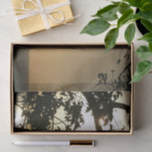 日没から木へII熱帯写真 薄葉紙 (ギフト)