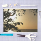 日没から木へII熱帯写真 薄葉紙 (クラフト)