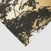 日没から木へII熱帯写真 薄葉紙 (詳細)