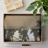 日没から木へII熱帯写真 薄葉紙 (ギフト)