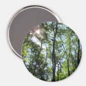 日没が木の間から覗くフォトマグネット マグネット (正面/裏面)