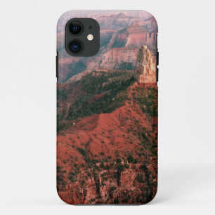 日没でおよび山Hayden帝国ポイント iPhone 11 ケース