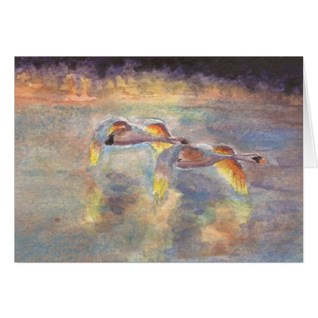 日没で家に先頭に立たれる白鳥 (正面横)