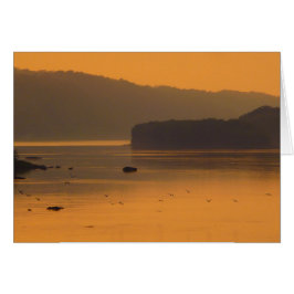 日没で水に飛んでいる鳥