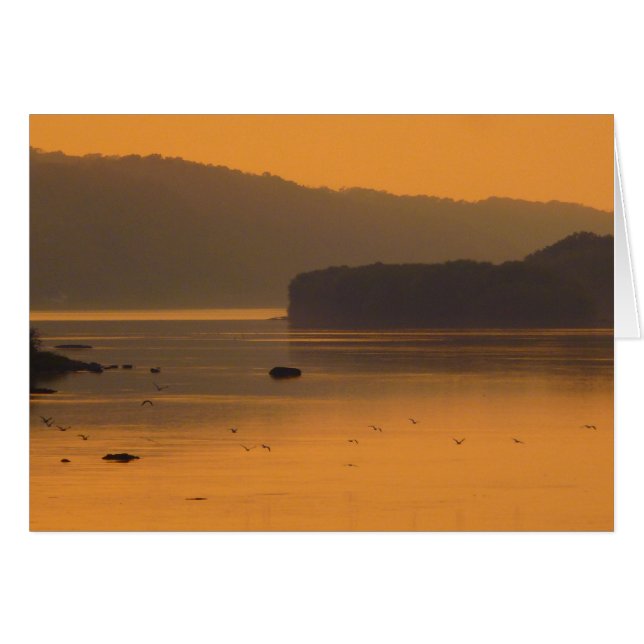 日没で水に飛んでいる鳥 (正面横)