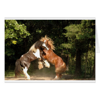 日没で遊ぶこと