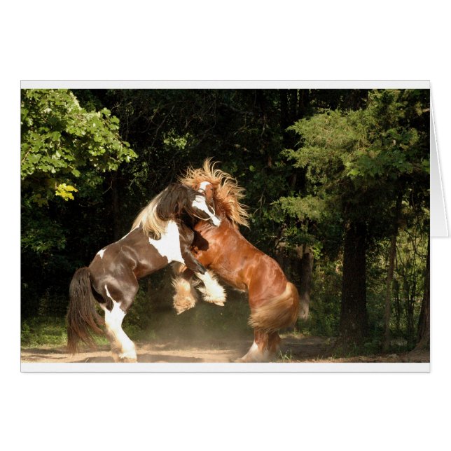 日没で遊ぶこと (正面横)