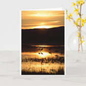 日没で食べ物を与えるクレーン カード (黄色い花)