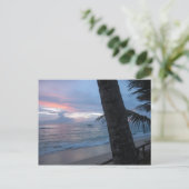 日没とツリー@スリランカ ポストカード (スタンド正面)