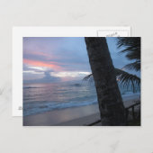 日没とツリー@スリランカ ポストカード (正面/裏面)