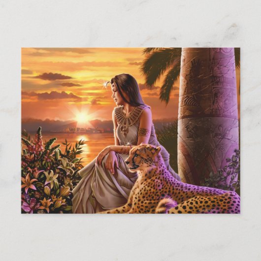 日没なし ポストカード (正面)