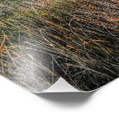 日没のひまわりの古い納屋 – Hi Res Photo フォトプリント (角)